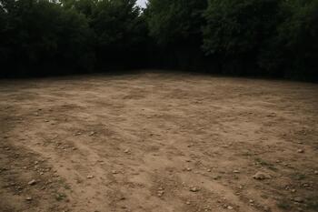 До: двор до работ, открытый грунт