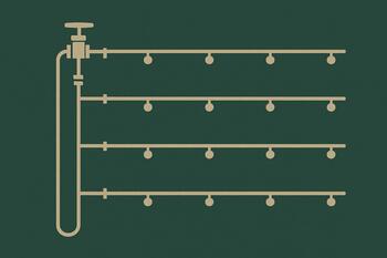 Схема сада: трассы капельного полива и коллектор
